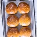 whole wheat hamburger buns