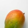 ripe mango